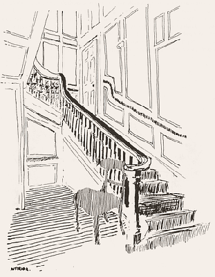 Interior - Furry Park Staircase